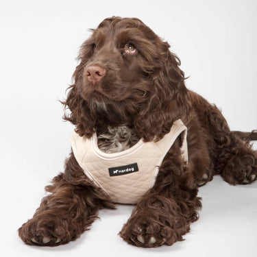 Nordog - Puppy Harness