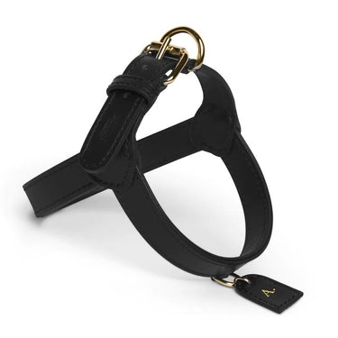 Perro Collection - Leather Harness