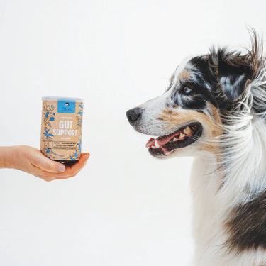 Gizzls - 100% Natural Dog Treats for Gut Support