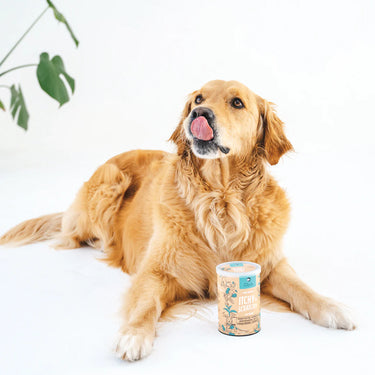 Gizzls - 100% Natural Dog Treats for Allergies and Immunity