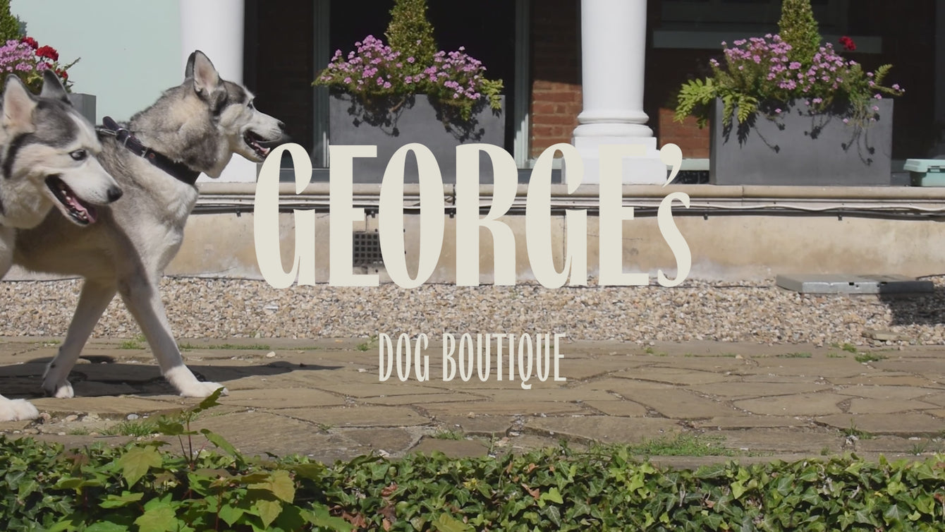 Kate's doggy hot sale boutique