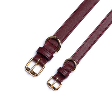 Perro Collection - Leather Collar